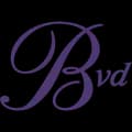 Logo PADEL BVD