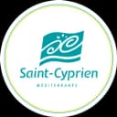 Logo Grand Stade Les Capellans