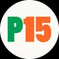 Logo Padel 15