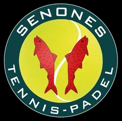 Logo TC SENONES