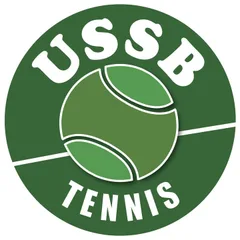 Logo US DE ST BERTHEVIN TENNIS