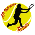 Logo SALINDRES TENNIS PADEL