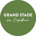 Logo Grand Stade Les Capellans